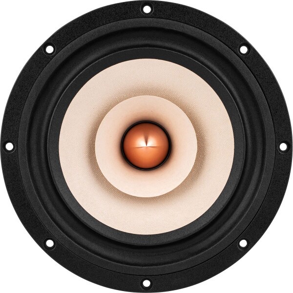 Main product image for Tang Band W8-1808 8" Neodymium Full Range Driver 264-894
